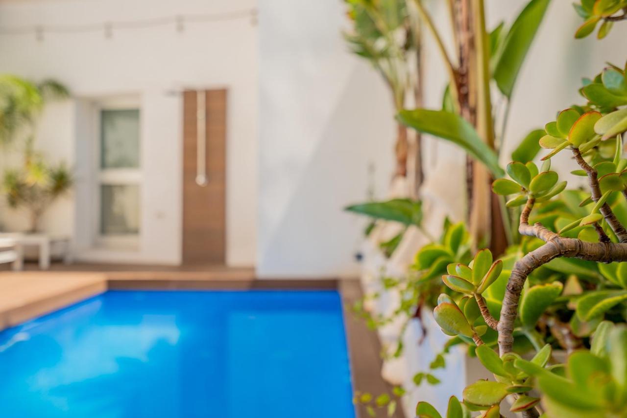 Vlvilla - Villa De Lujo En Valencia Con Piscina Privada Y Sala De Cine Burjassot Zewnętrze zdjęcie